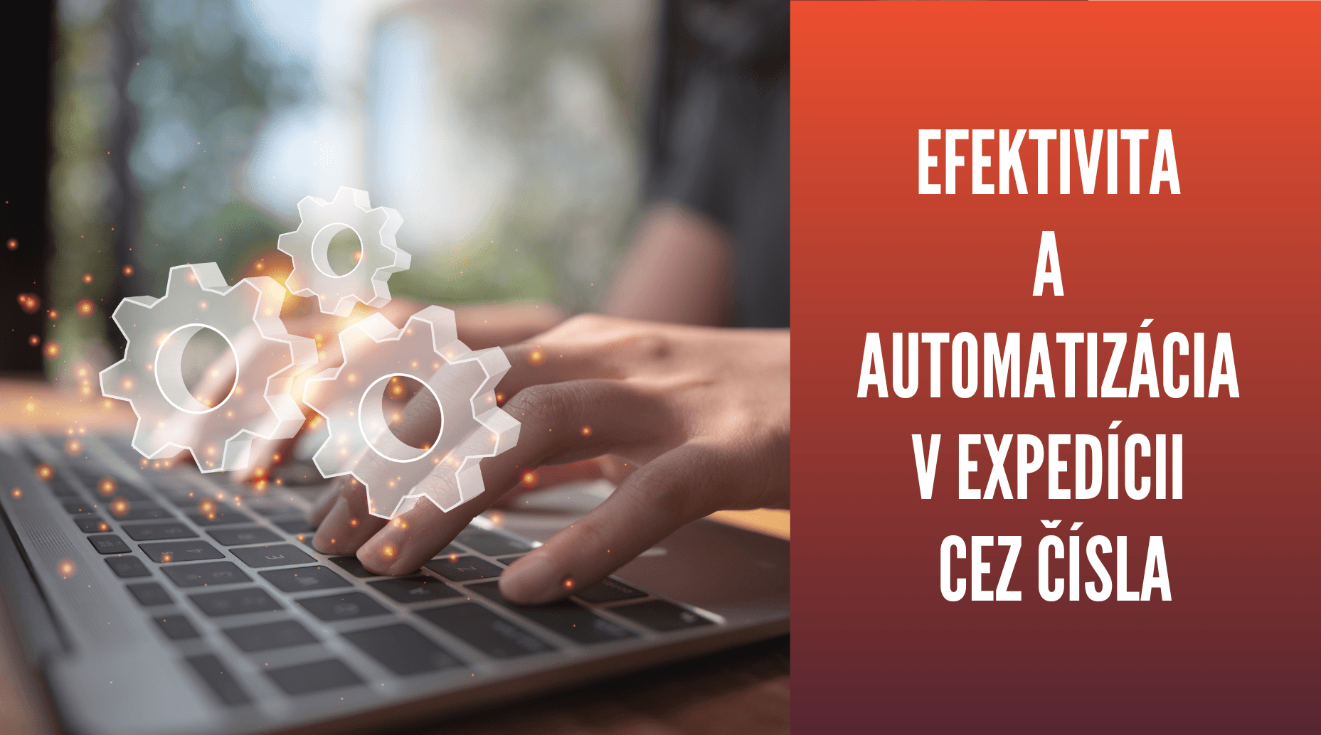 Efektivita a automatizácia v expedícii eshopu cez čísla